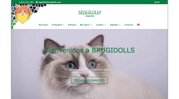 brugidolls.com
